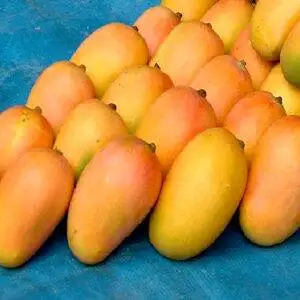 Kesar
