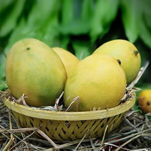 Panchadara Kalasham